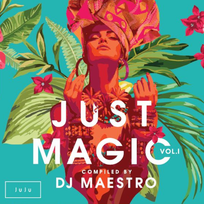 Just Magic DJ Maestro