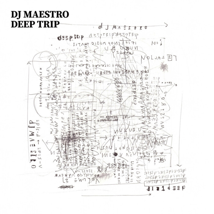 Deep Trip DJ Maestro